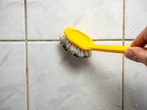 Best Mold Remediation for Schools in Chandler, OK