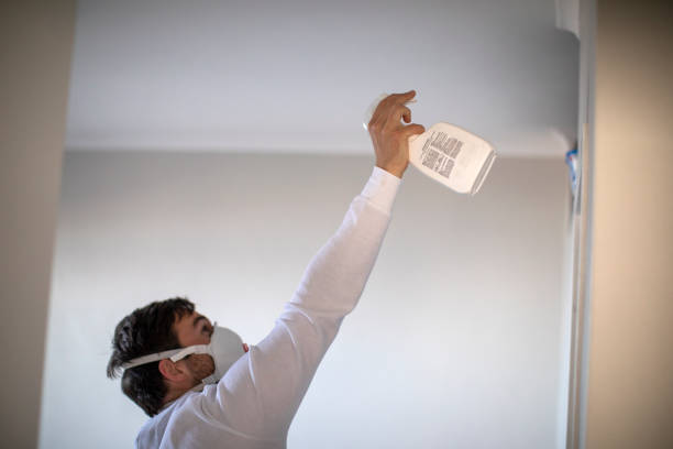 Best Black Mold Remediation in Chandler, OK