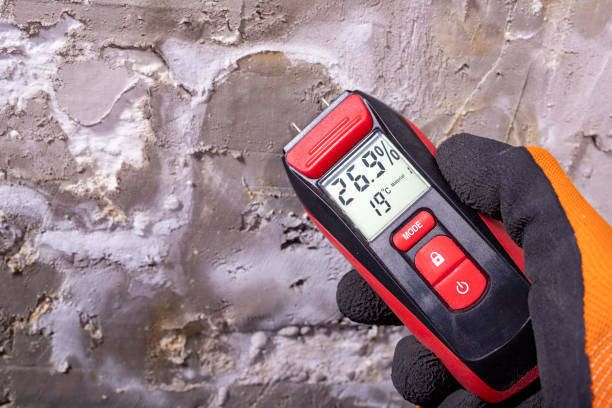 Chandler, OK Mold Remediation Company