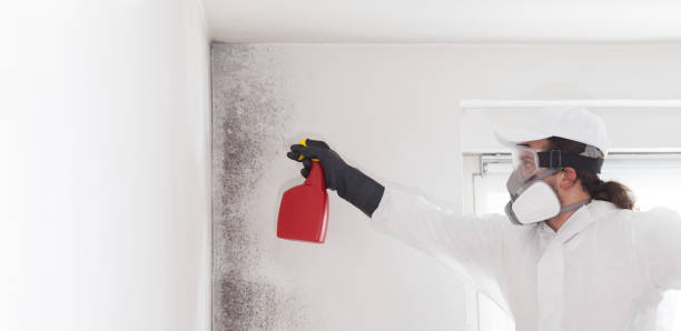 Best Post-Flood Mold Remediation in Chandler, OK