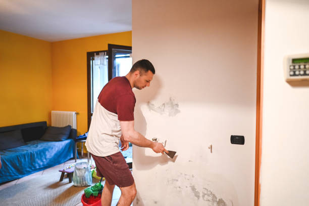  Chandler, OK Mold Removal Pros